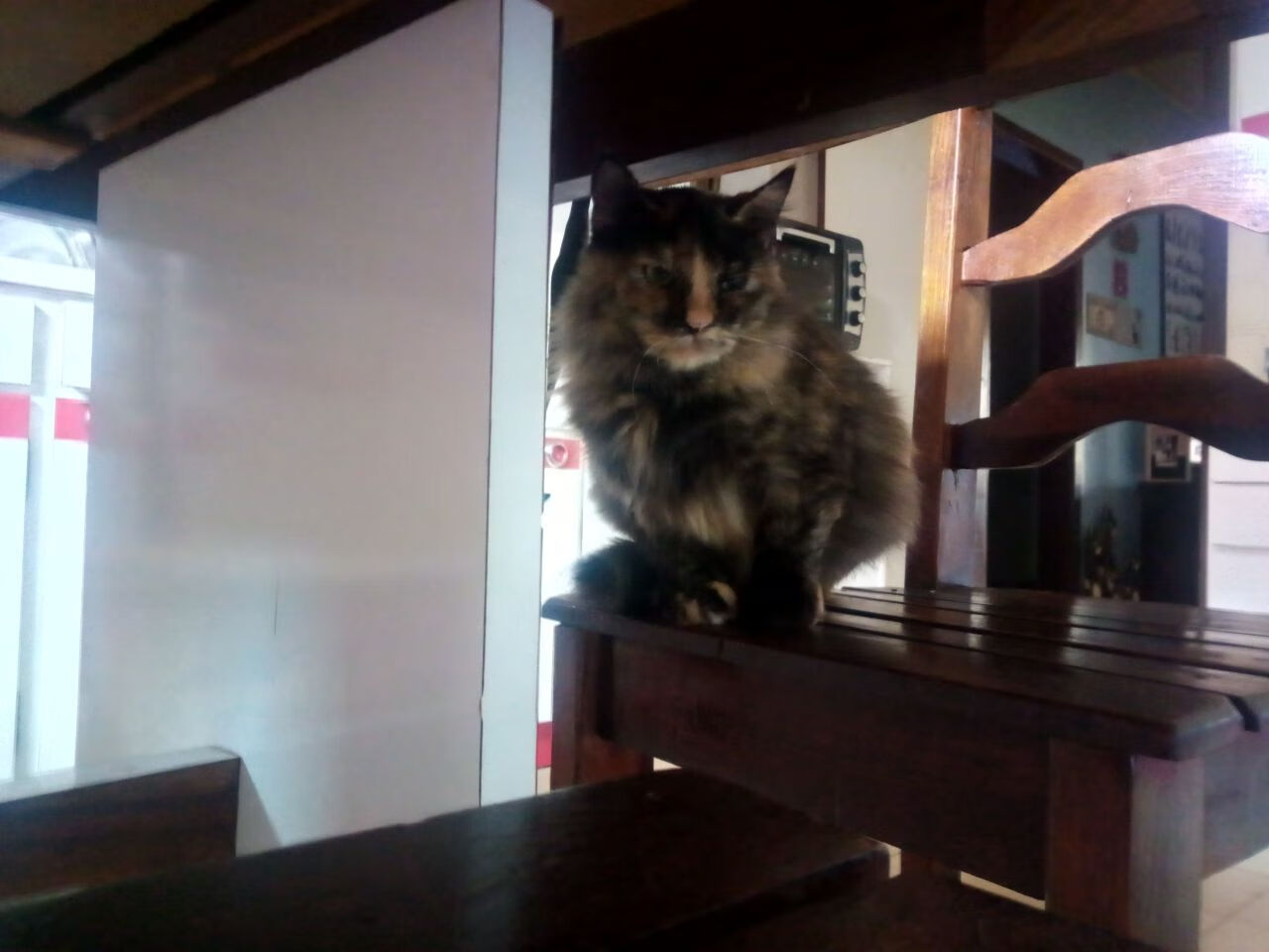 爱游戏官网-平行世界里的共同公式，当公牛的风吹过江苏，欧文的火点燃篮筐