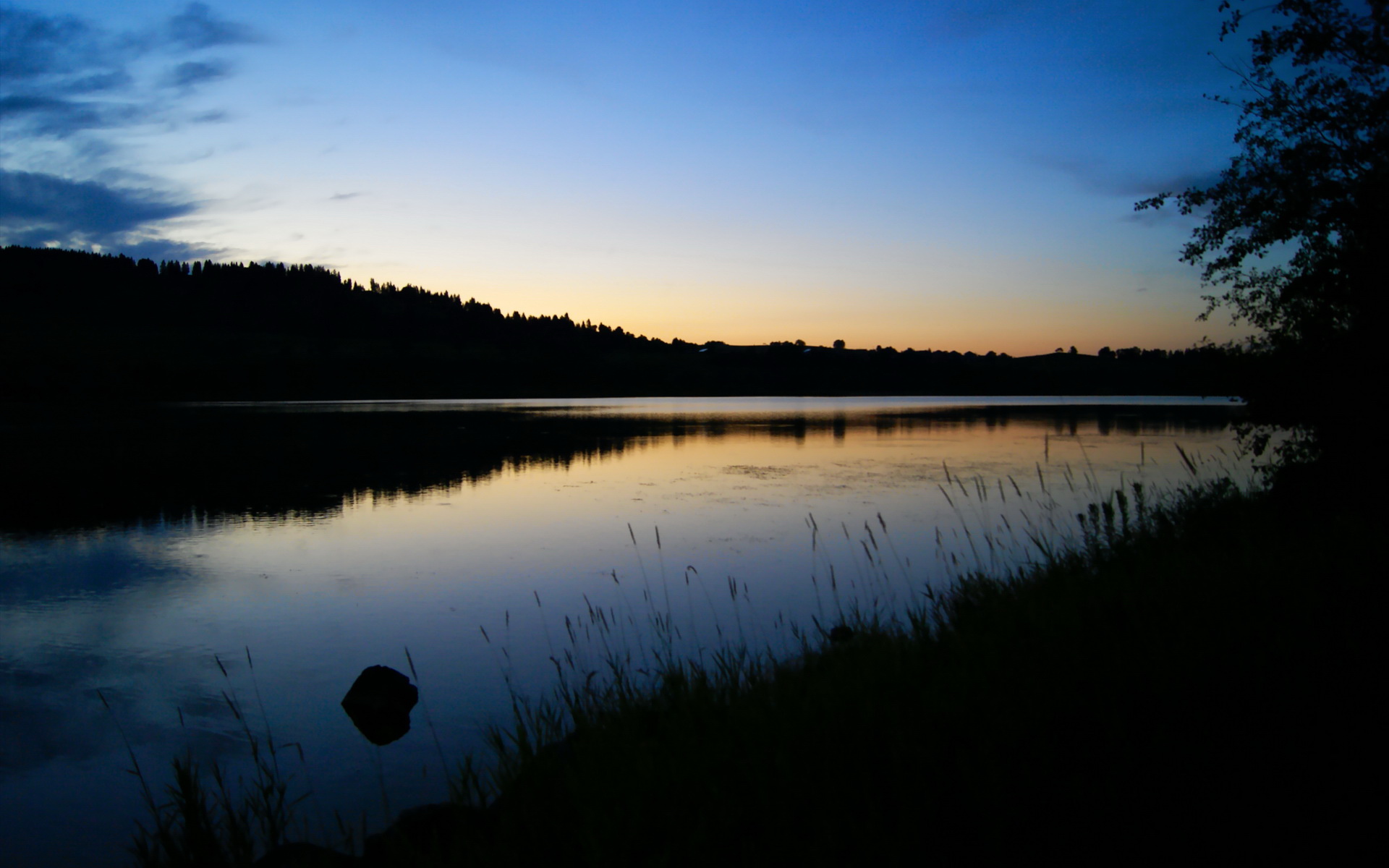 爱游戏官方入口-东方的剑，西方的盾，林高远带领波兰队完胜奥地利队背后的体育无界