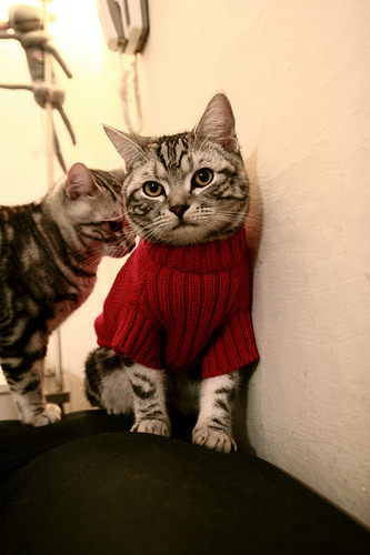 爱游戏-冰与火之歌，戴维斯杯的钢铁意志如何碾压拉沃尔杯的华丽焰火