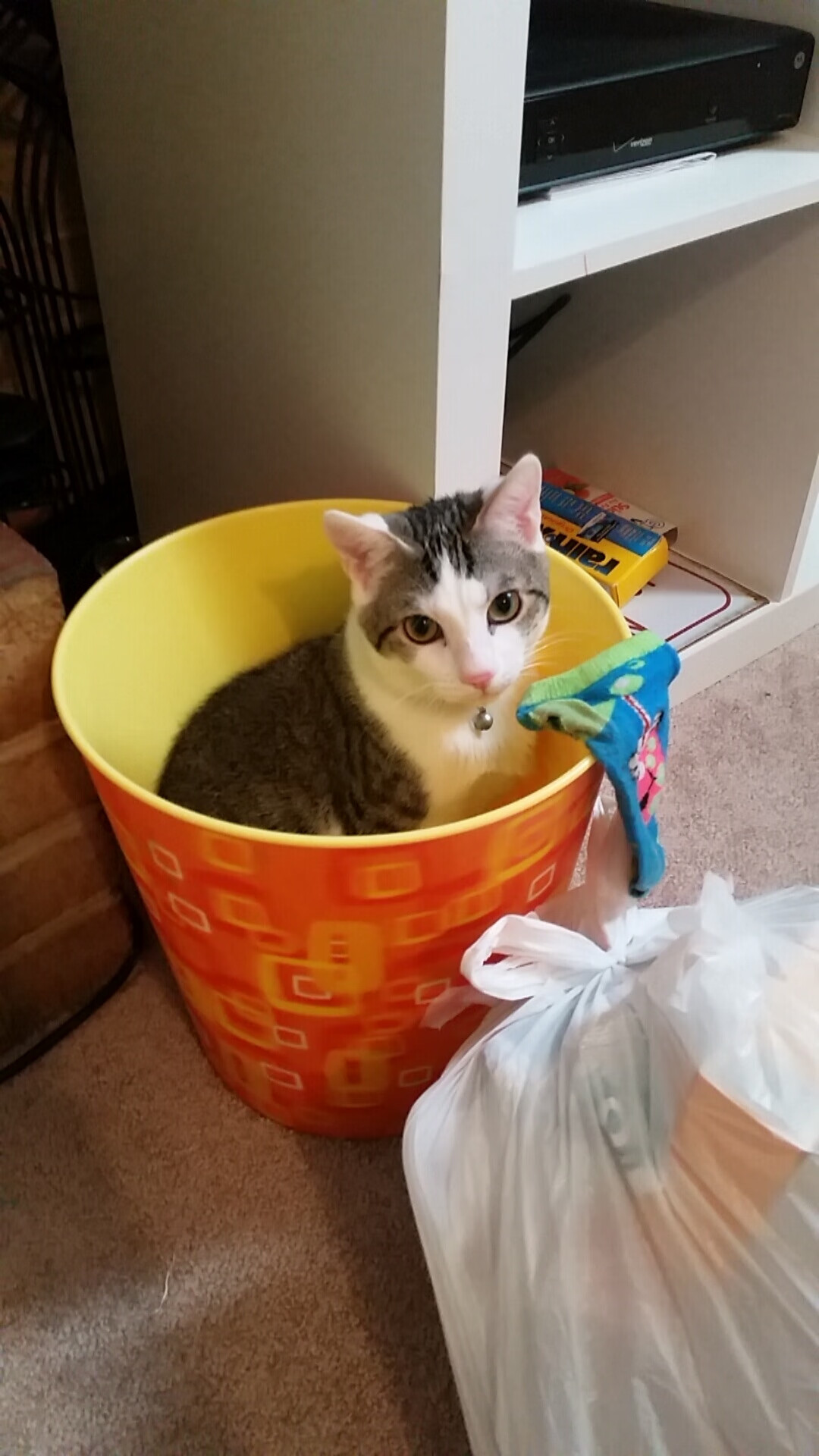 铁骑踏雪,银月逢炎阳,法拉利绝境翻盘,周冠宇点燃赛场