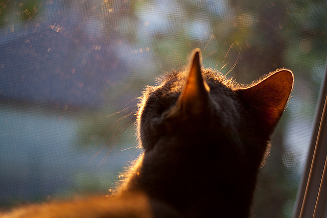 东决式决胜与巴萨式控局，赛场节奏的两种哲学