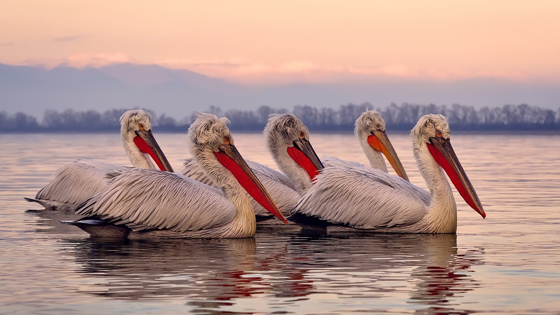 英超争冠焦点战与山西队的魔术，一场跨体育的奇幻对话