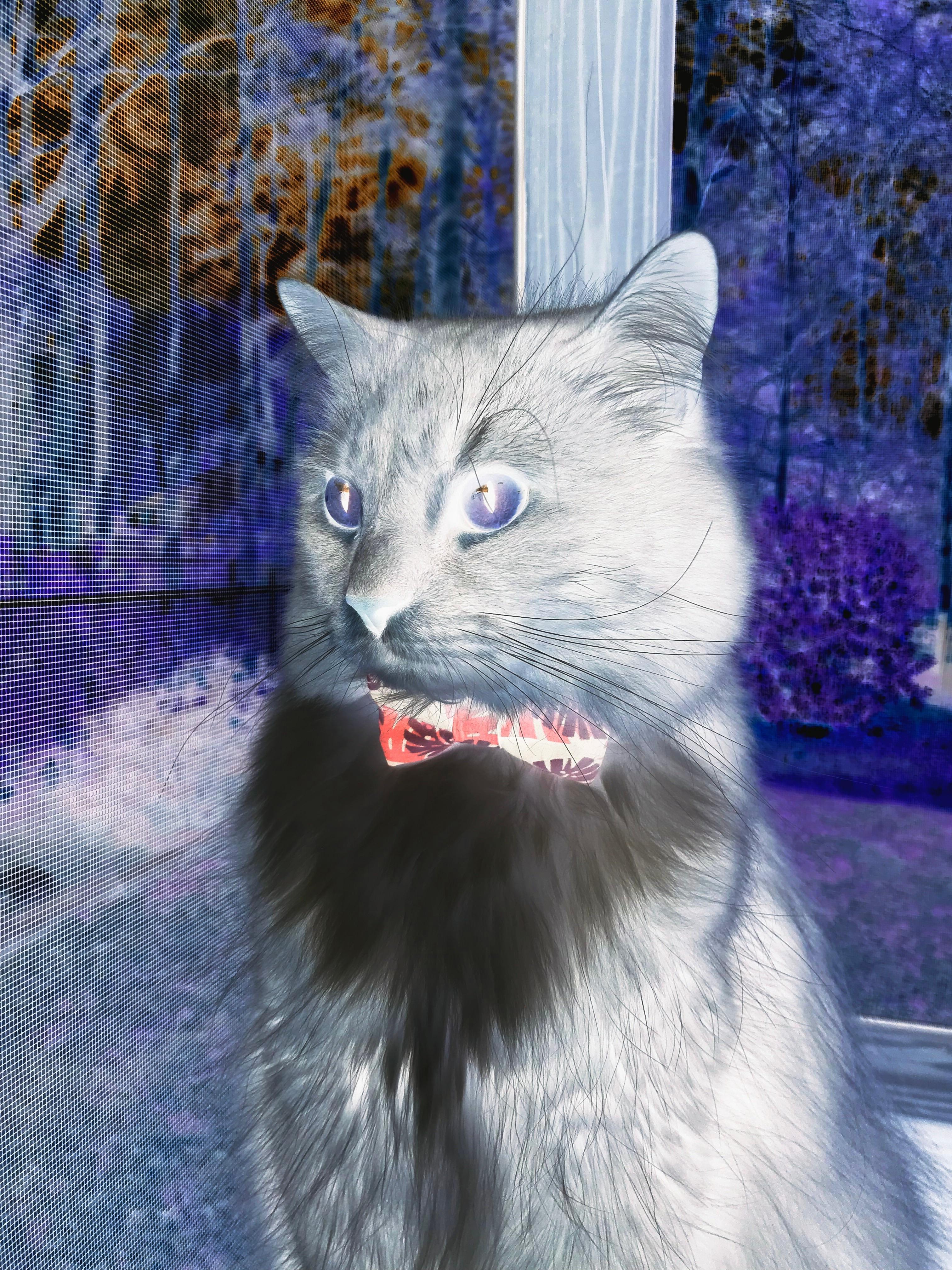 欧冠巅峰对决，西班牙豪门横扫阿森纳，卡塞米罗硬仗之王铸就传奇