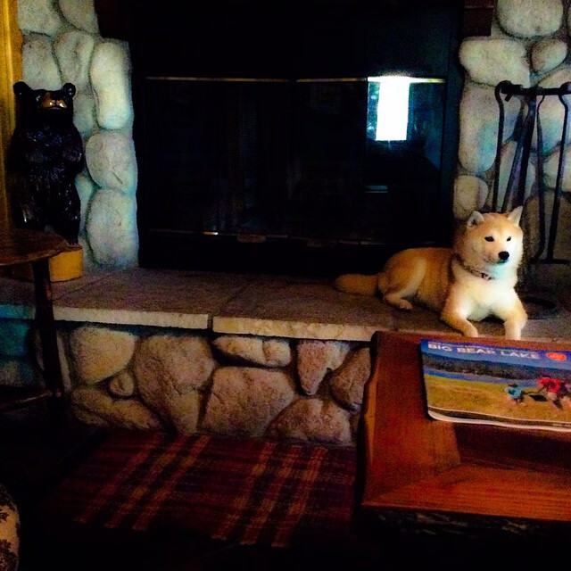 双重接管，从印第安纳的战术囚笼到巴林赛道的绝对领域