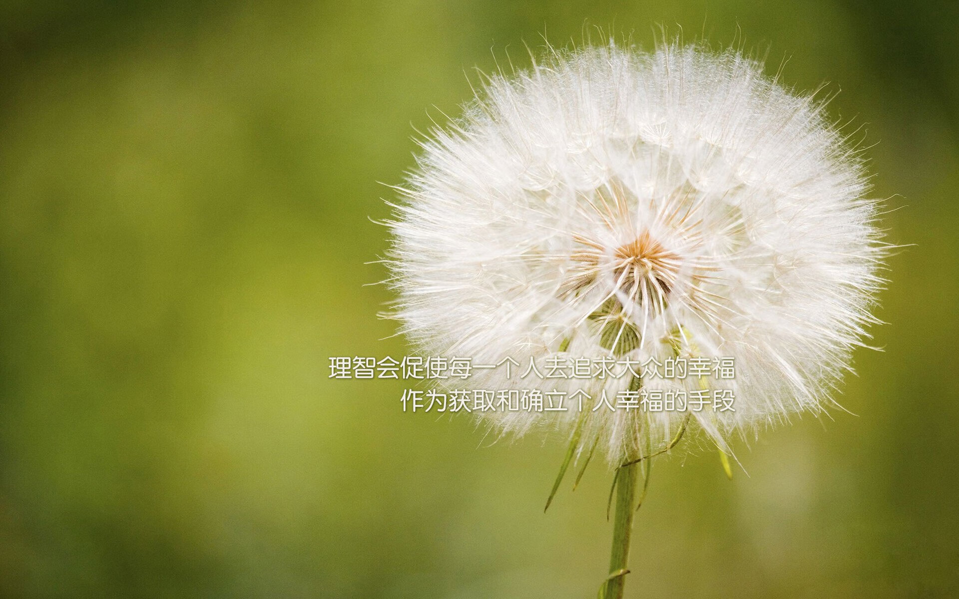 爱游戏入口-从戈贝尔到新疆队，被低估者的逆袭叙事