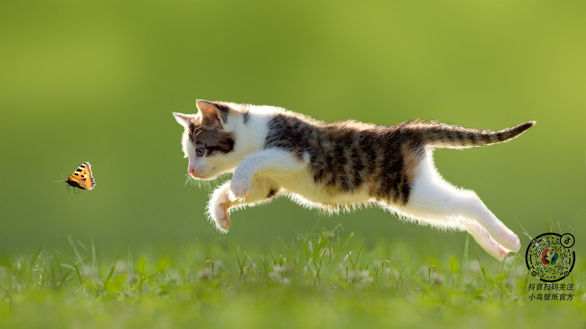 爱游戏在线-心脏、密码与德比之夜，米切尔的转换何以破解世纪对决？