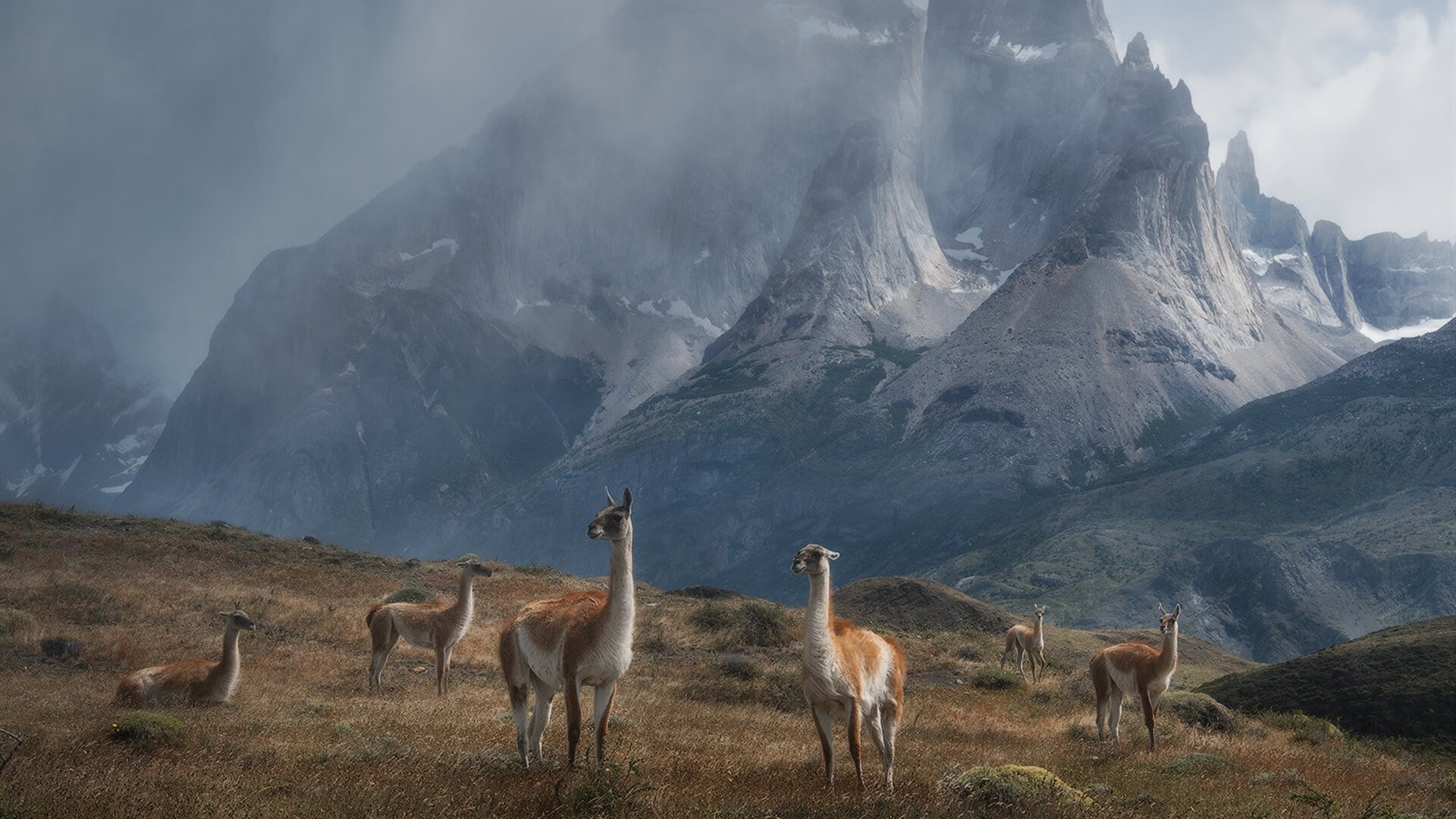 爱游戏在线-浙江狙击王朝逆鳞！背水一战铸就新传奇