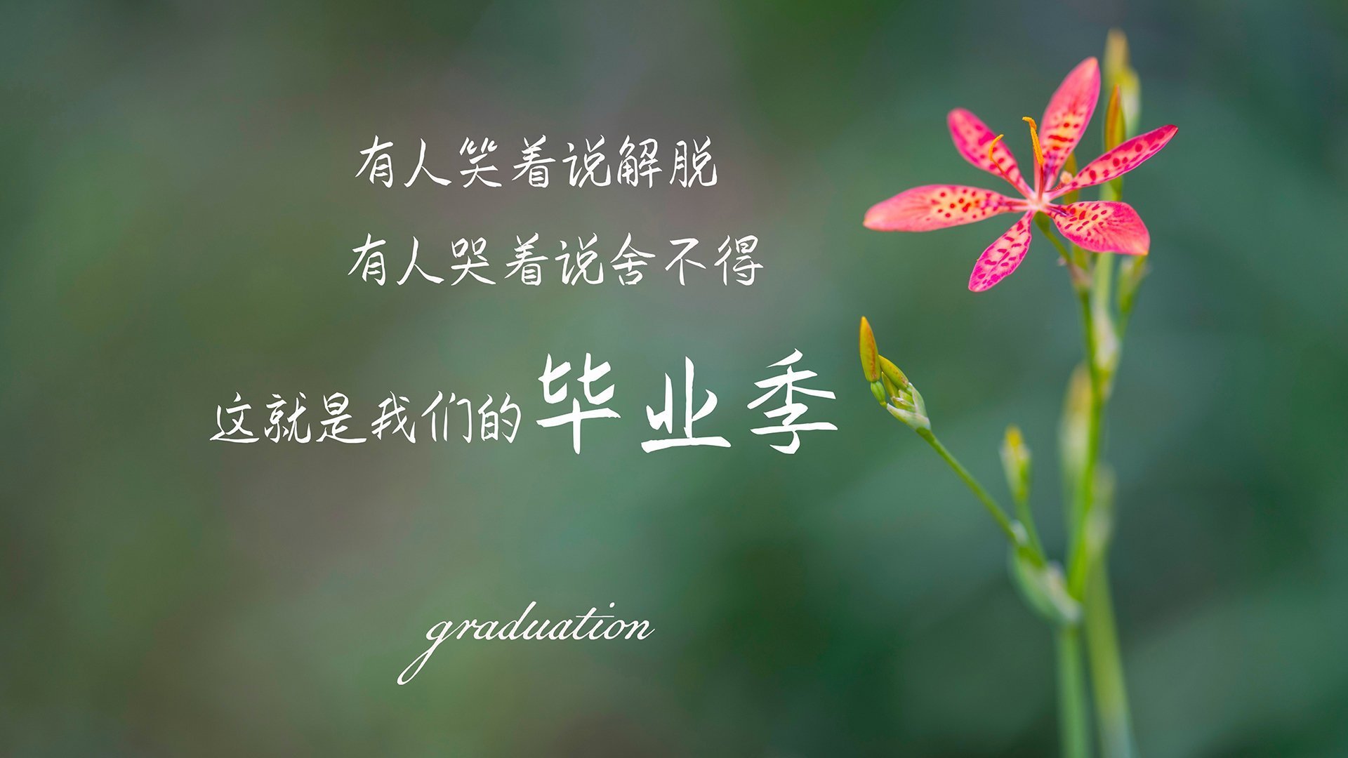 跨界风暴，当灰熊带走骑士，库里在欧冠决赛接管比赛