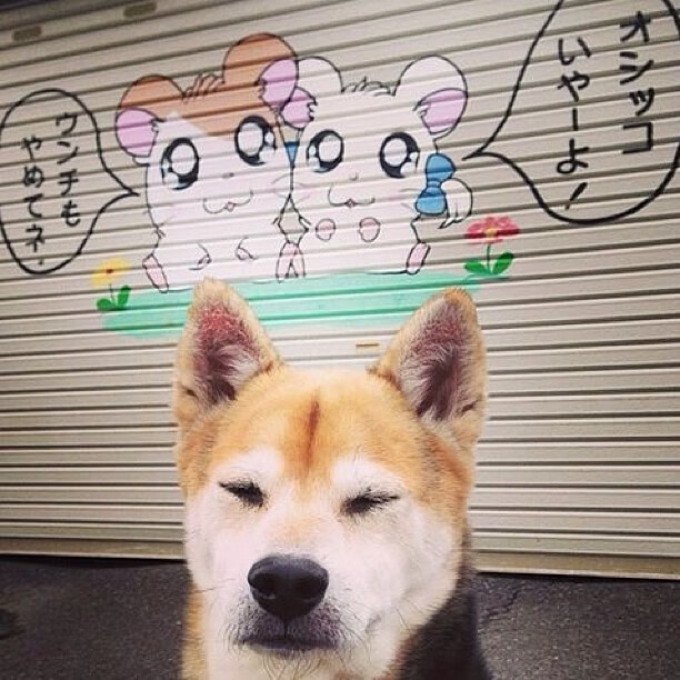 爱游戏APP-隔空的回响，当季后赛抢七之夜遇见梅西的冠军之心