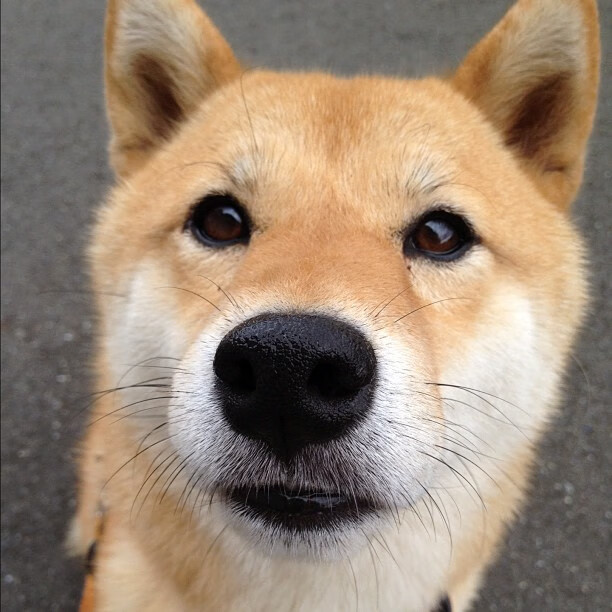 极夜中的光，德罗赞沉默狙杀，马刺的血性文艺复兴