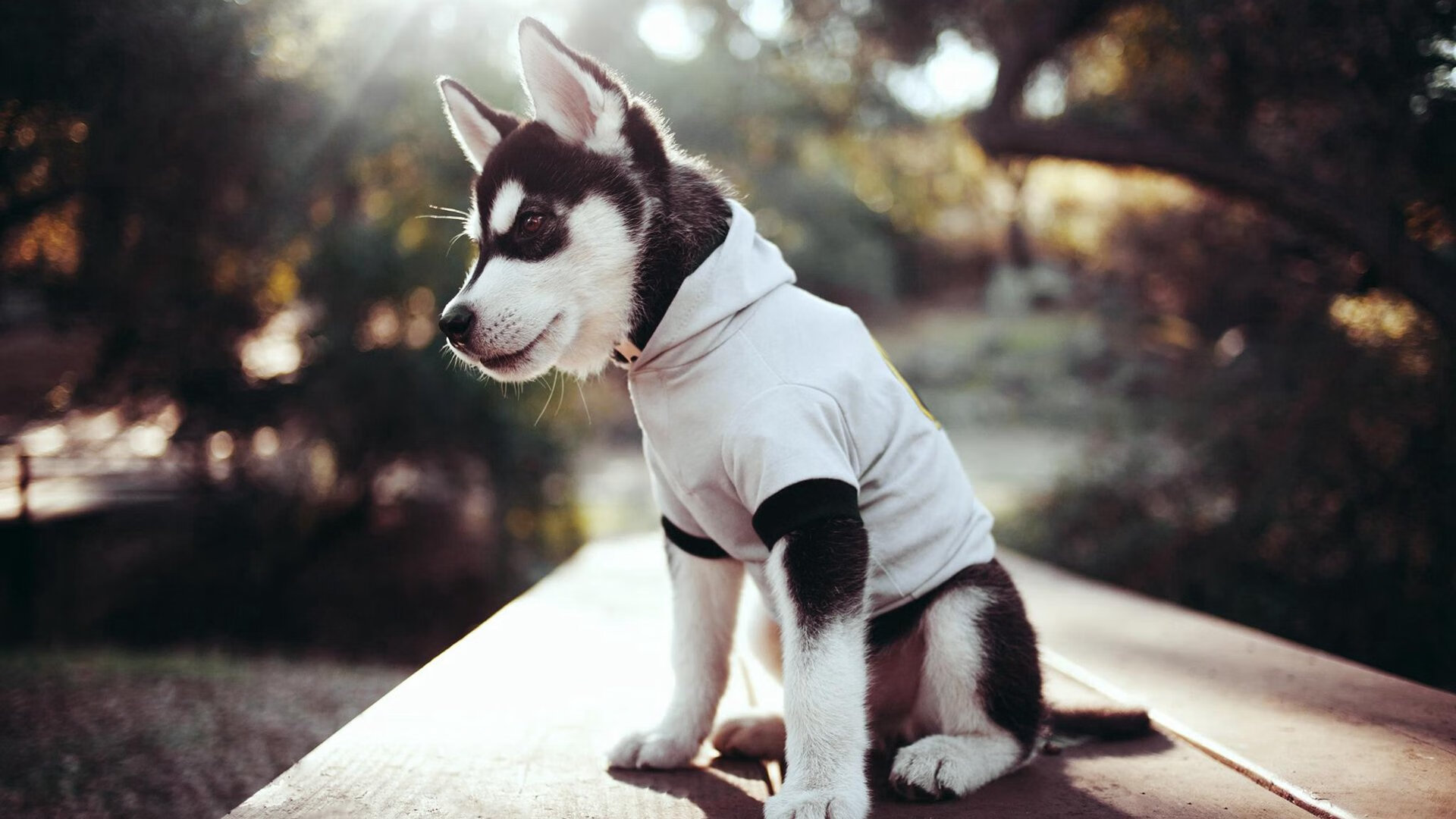 金色烈焰与蓝色风暴，萨拉赫的魔法与西班牙的闪电—瞬间爆发如何定义比赛