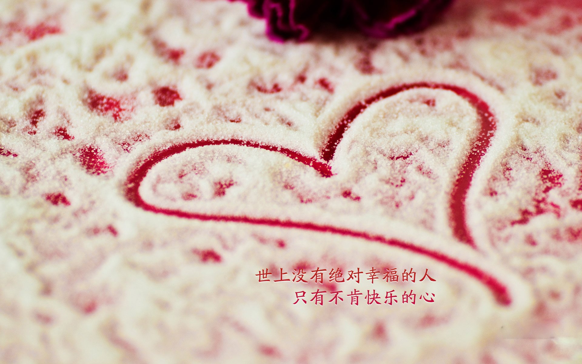 蓝衣战车碾过太极虎,苏神独舞点亮美加墨